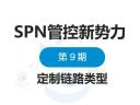 【SPN管控新势力】定制链路类型
